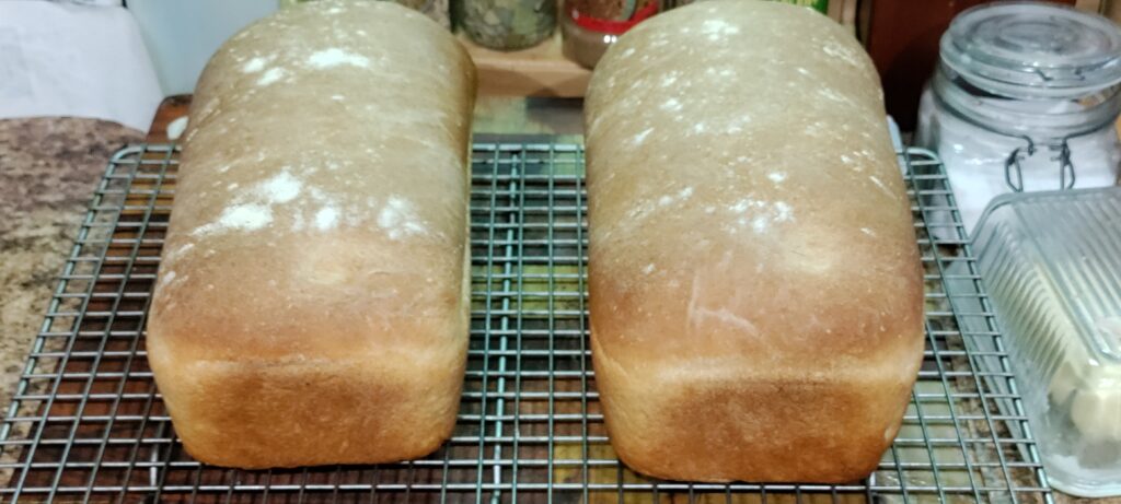 Fresh milled wheat sandwich loaf