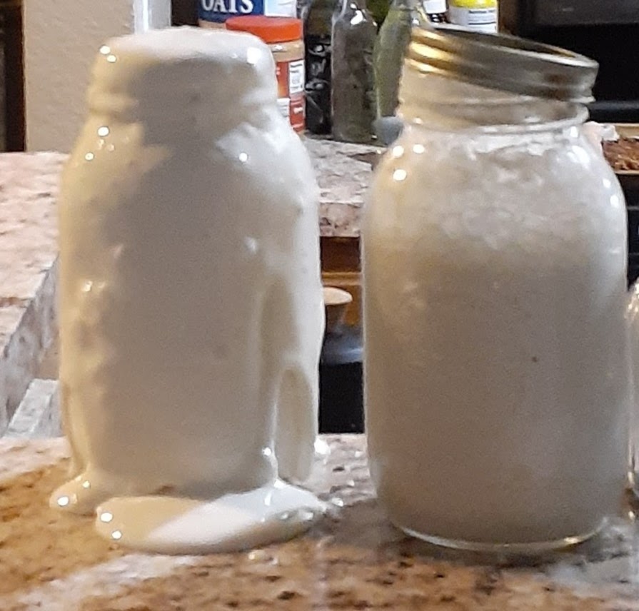 Sourdough Starter